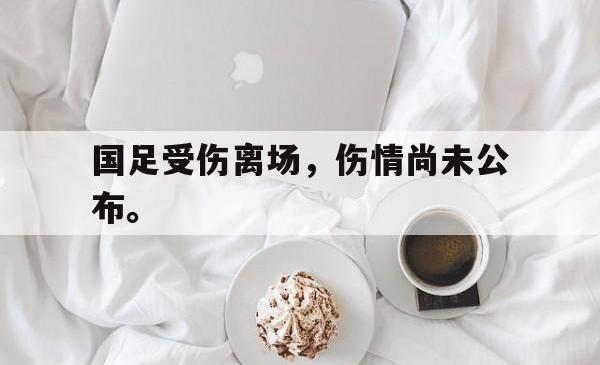 乐鱼体育APP下载-国足受伤离场，伤情尚未公布。